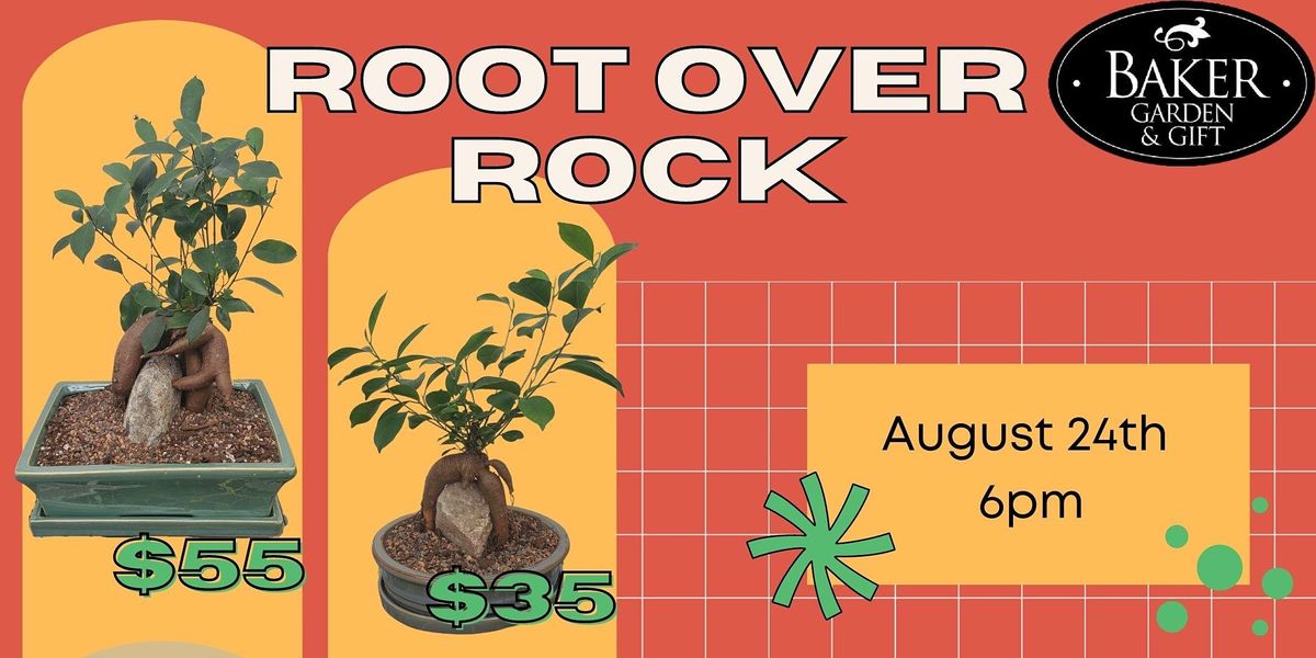 Root Over Rock Bonsai Baker Garden Gift Fargo Nd August 24 2021