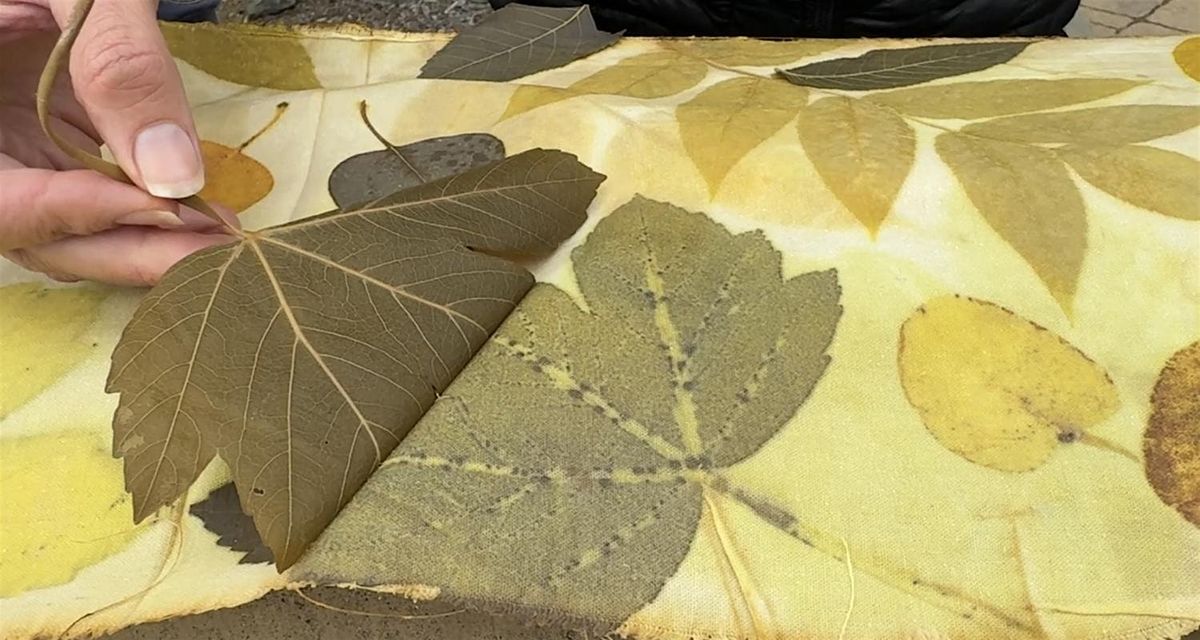Fall Foliage to Fashion: Leaf Printing Workshop