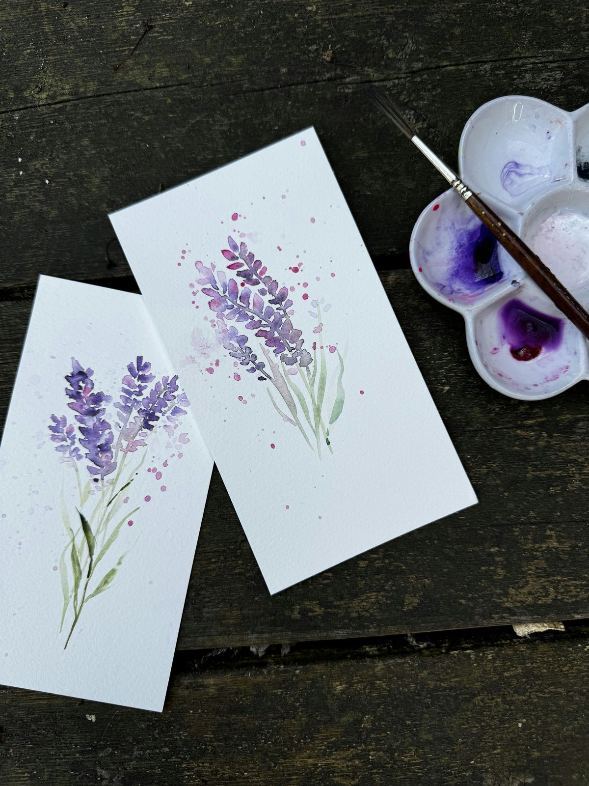 Lavender in Watercolour - Evening at Ollie Quinn