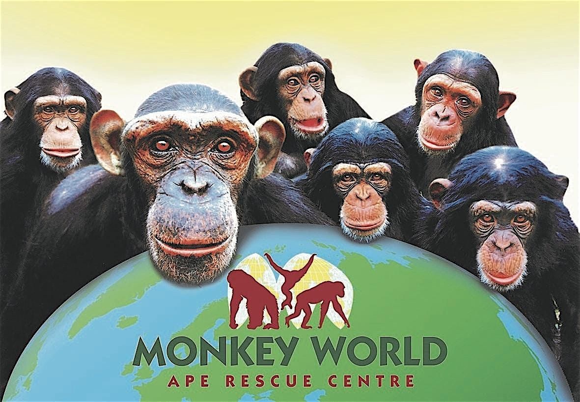 Monkey World Christmas Special Artz+ Sportz+