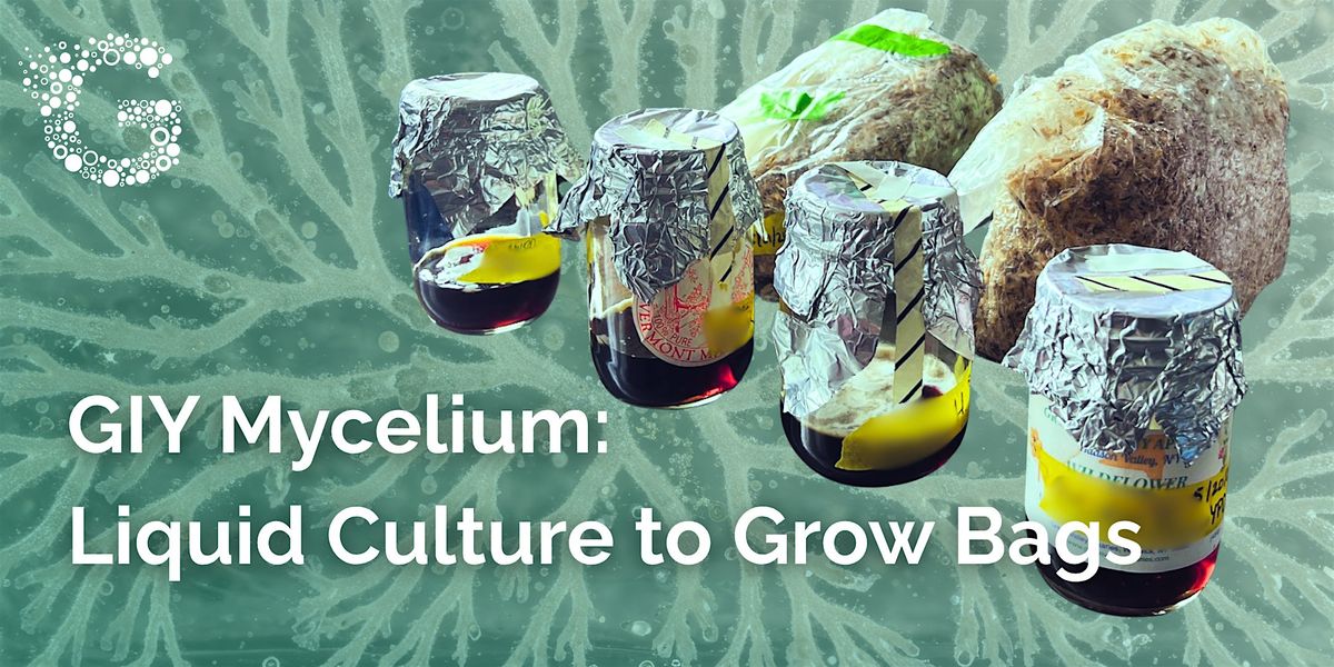 GIY Mycelium: Liquid Culture to Grow Bags