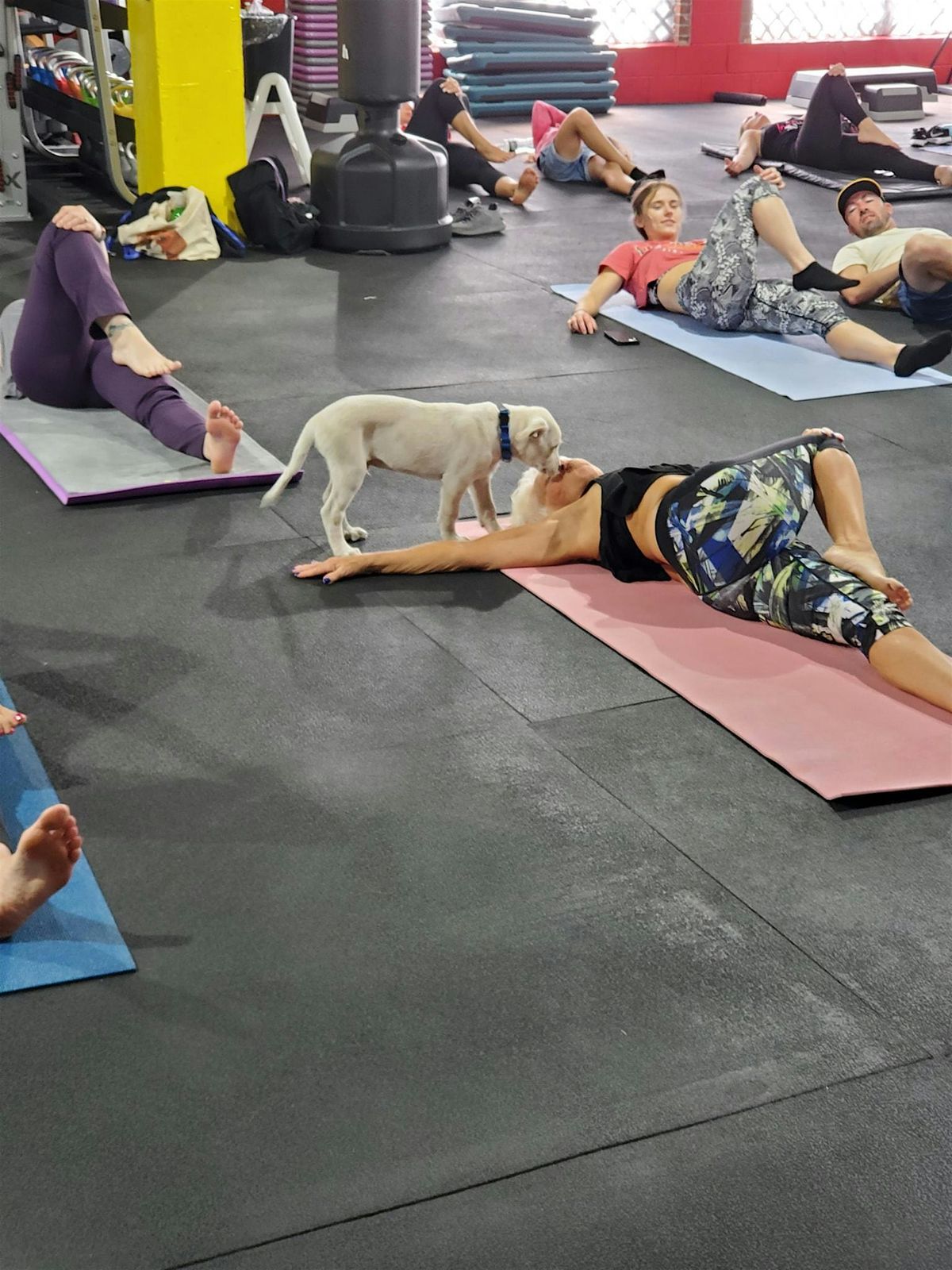 DNYP at Riverside Health & Fitness