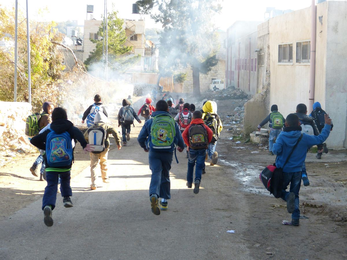 Education under Occupation II