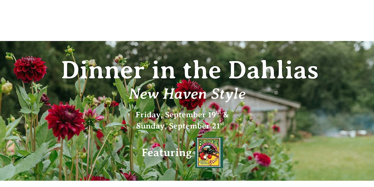 Dinner in the Dahlias - New Haven Style