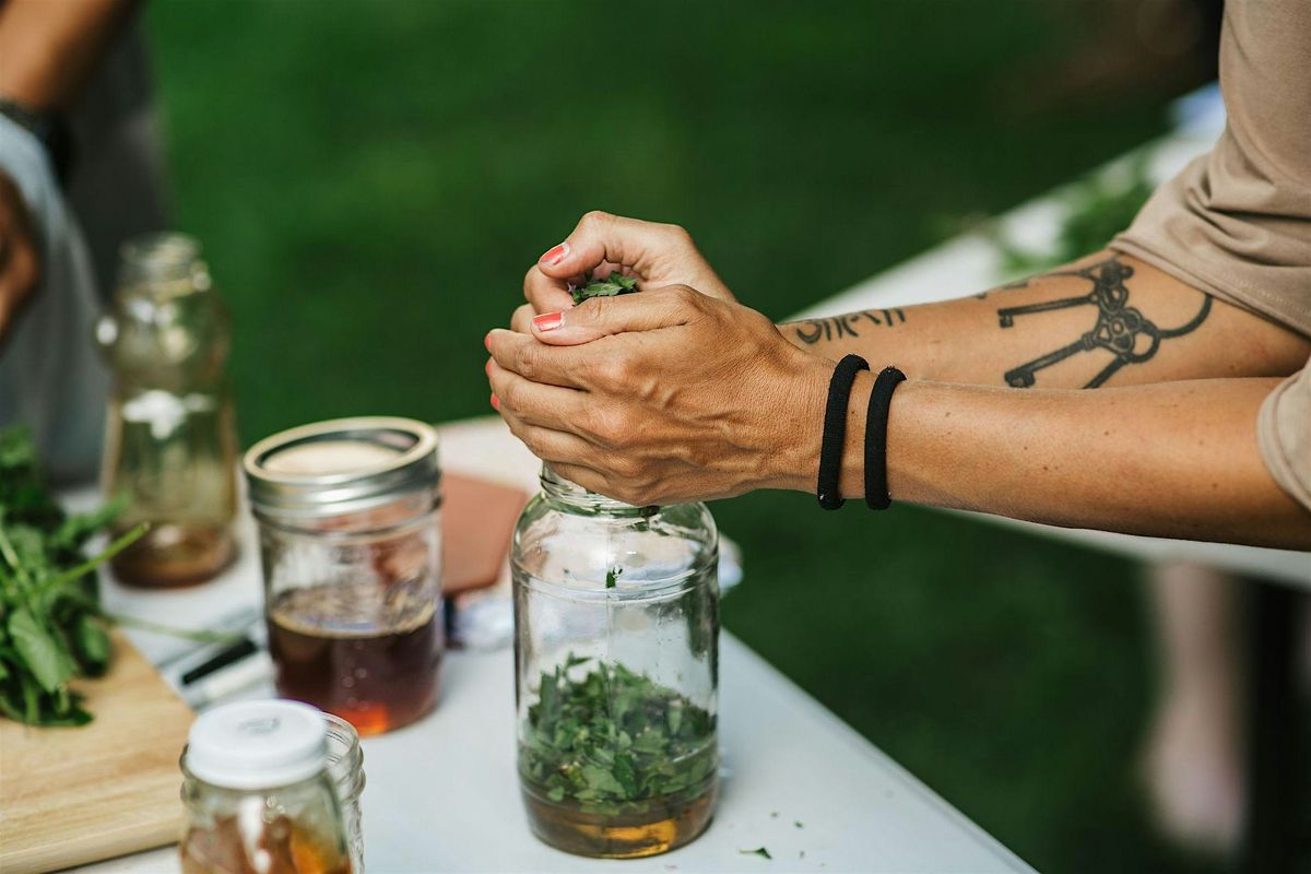 The Restorative Power of Comfrey: A Hands-On Salve-Making Workshop