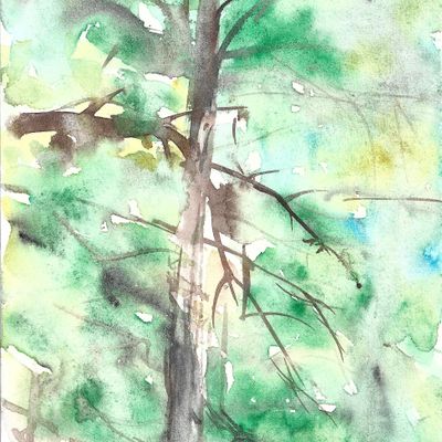 Greenspace - The Cambria Land Trust