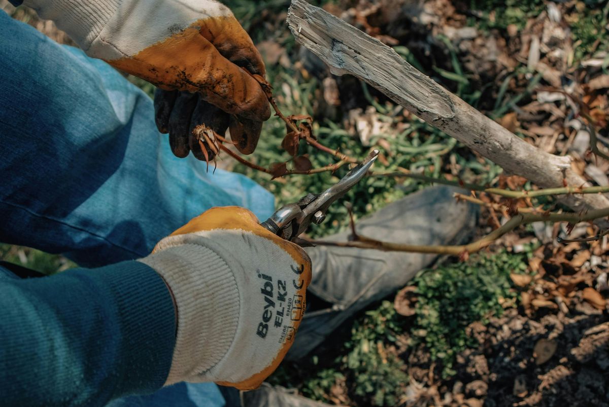 Stewardship S\u2019Tuesdays