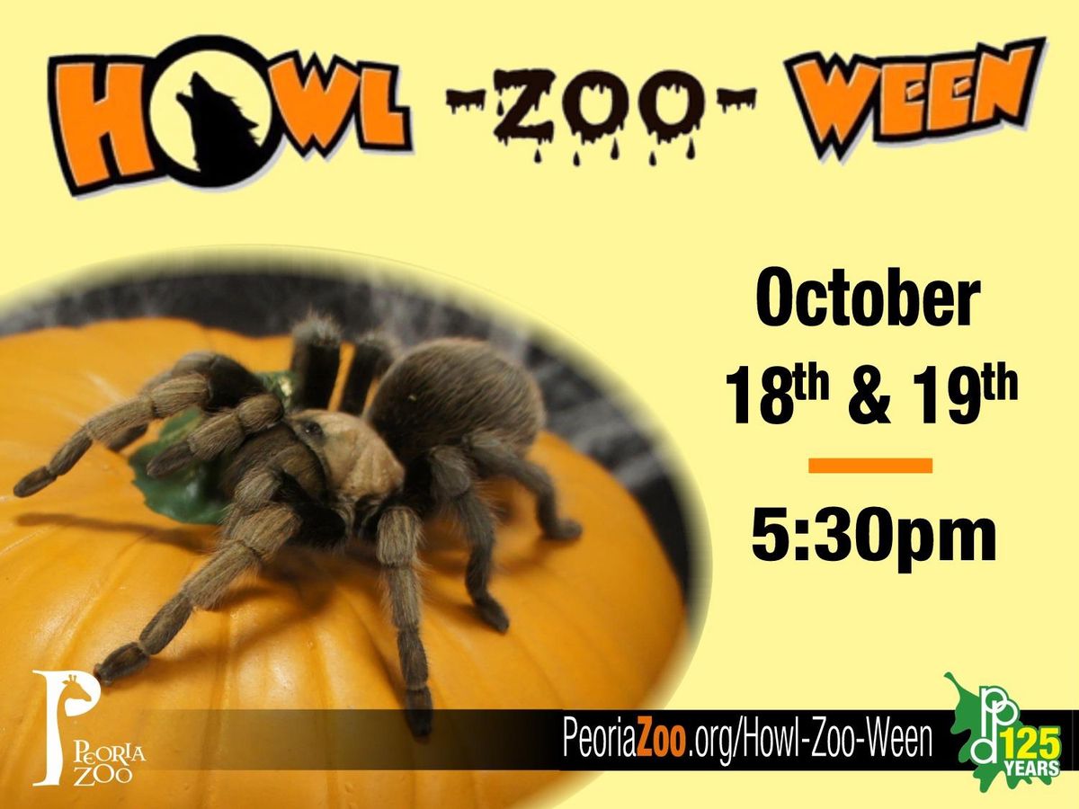 Peoria Chiefs at West Michigan Whitecaps at LMCU Ballpark