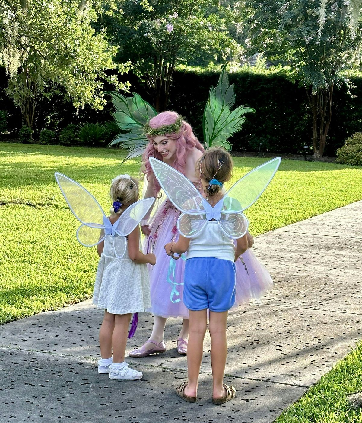 Fairy Night