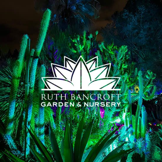 Garden of D\u2019Lights