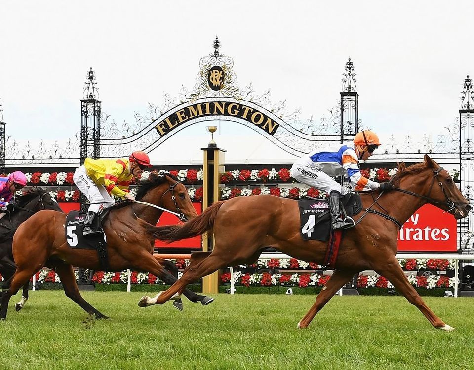 2022 Melbourne Cup online October 31 to November 1