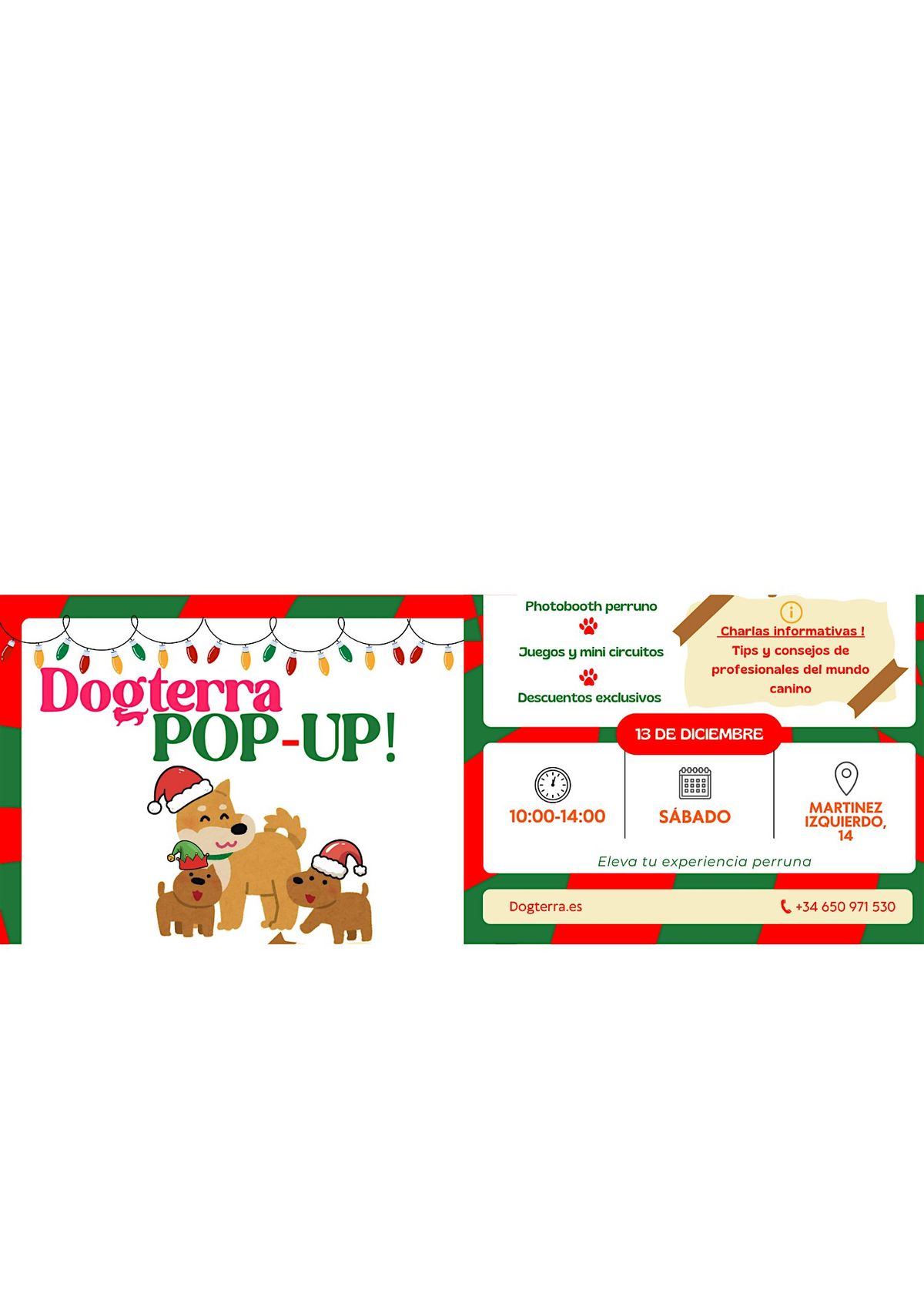 Dogterra: \u00a1Pop-up Navide\u00f1o!