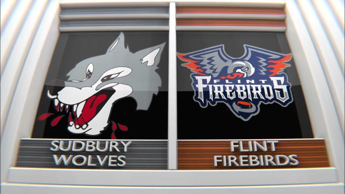 Flint Firebirds at Sudbury Wolves