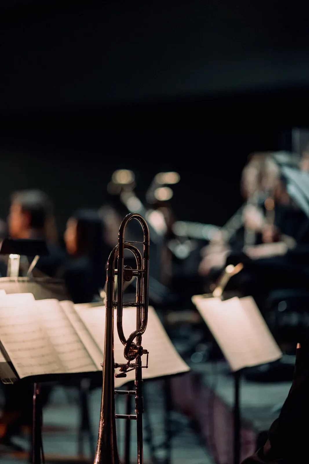 Thunder Bay Symphony Orchestra - Speakeasy at Community Auditorium Thunder Bay