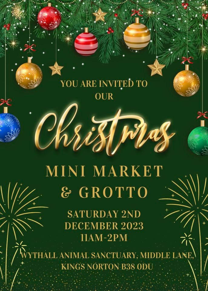 Christmas Mini Market & Grotto\u2603\ufe0f?