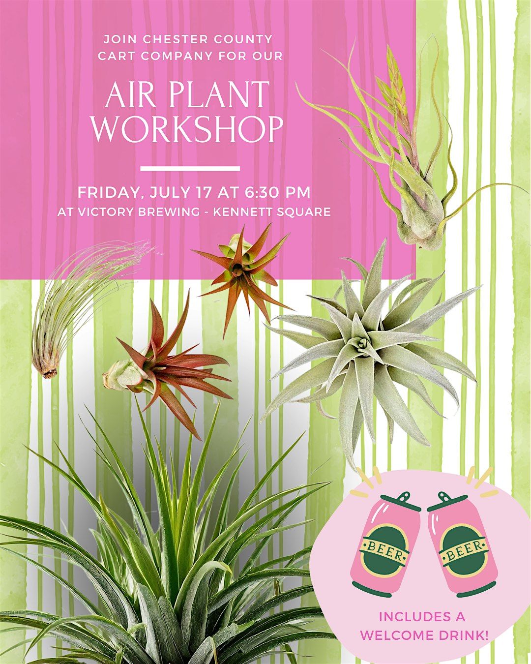 Air Plant Workshop