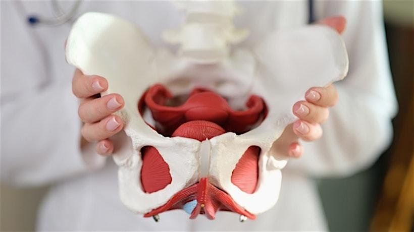 Physical and Occupational Therapy Collaboration Event