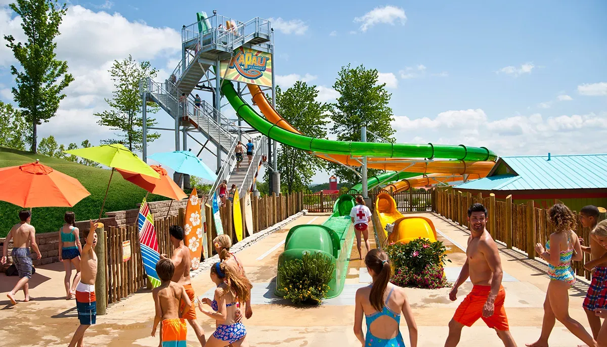 Parking David - The Musical - Branson