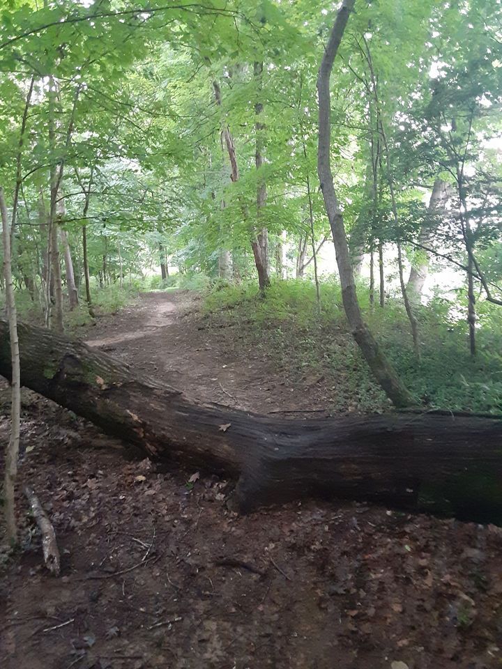 Capital View Park Bird Walk