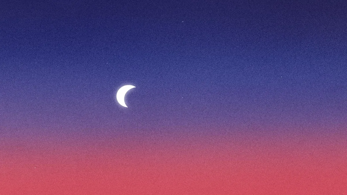 Requin Chagrin in Bruxelles