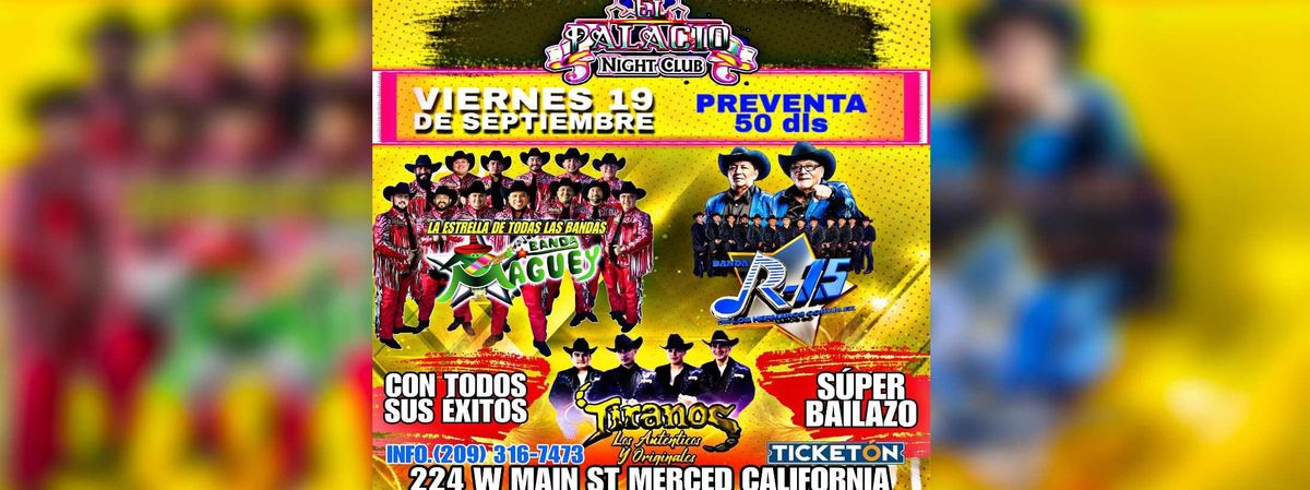 BANDA MAGUEY, BANDA R-15 Y TIRANOS