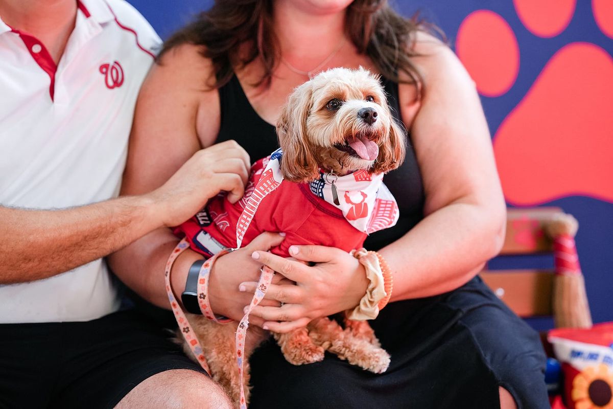 Pup at London Music Hall - Ontario