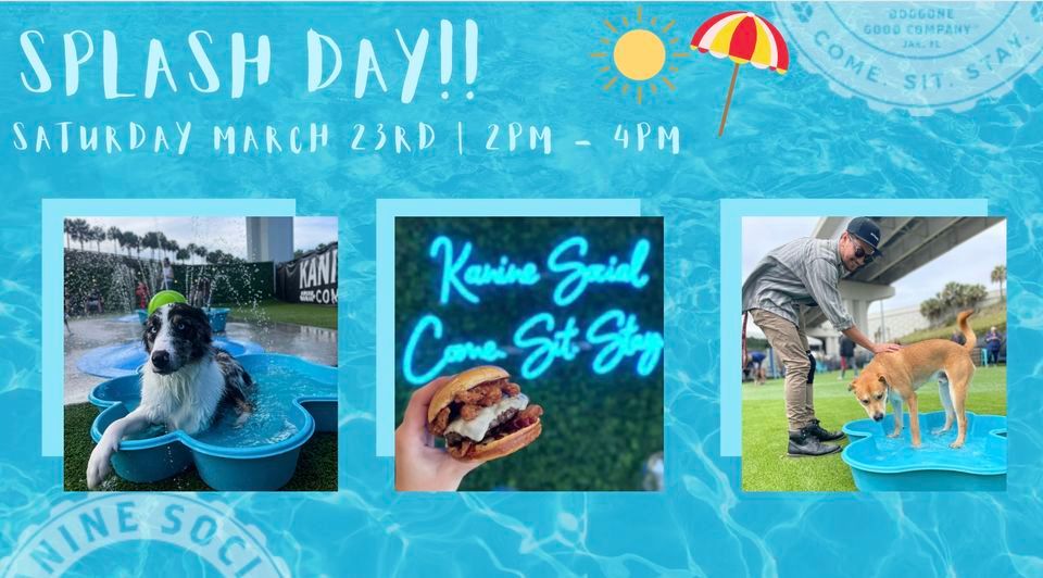 Splash Day! Kanine Social, Jacksonville, FL March 23, 2024