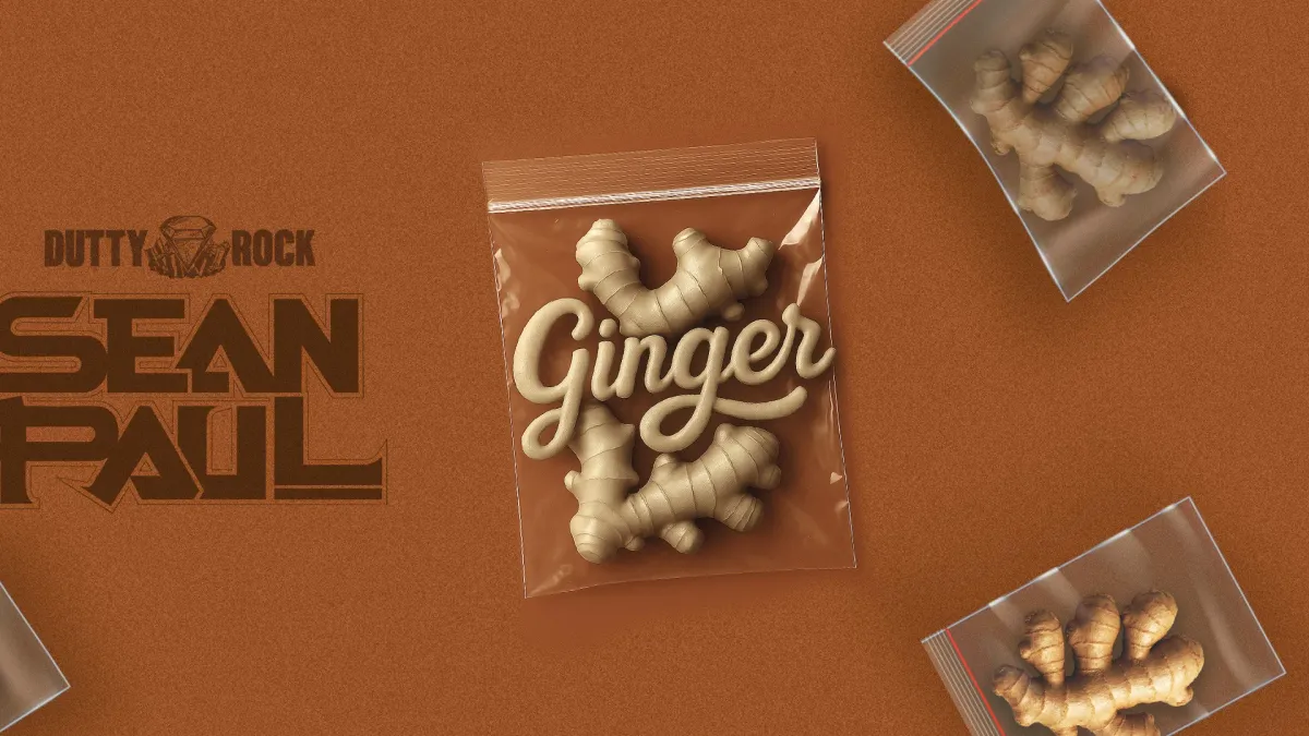 Sean Paul in Frankfurt am Main