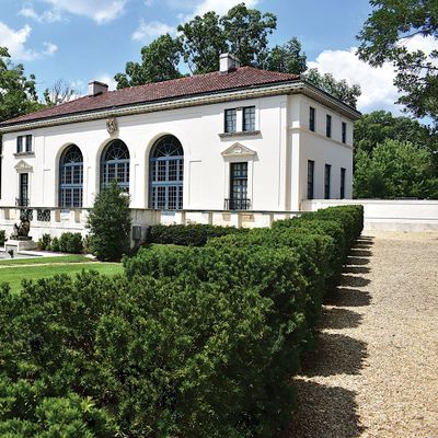 Friends of the Art Museum of the Americas