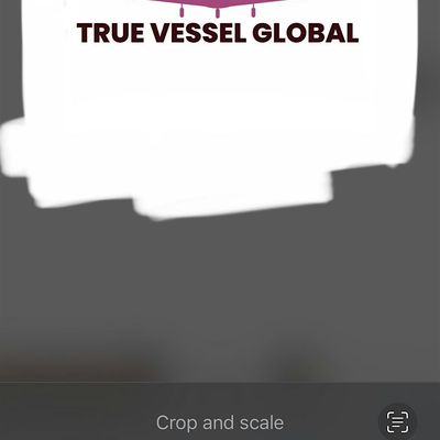 True Vessel Global