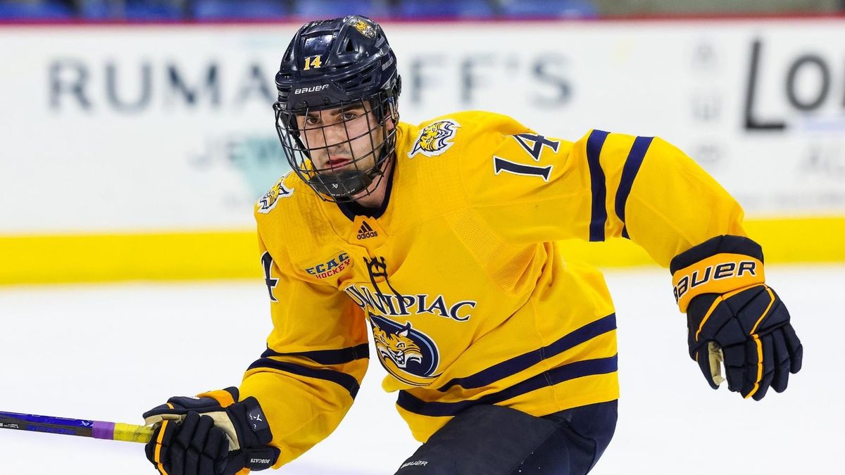 Quinnipiac Bobcats at Brown Bears Mens Hockey