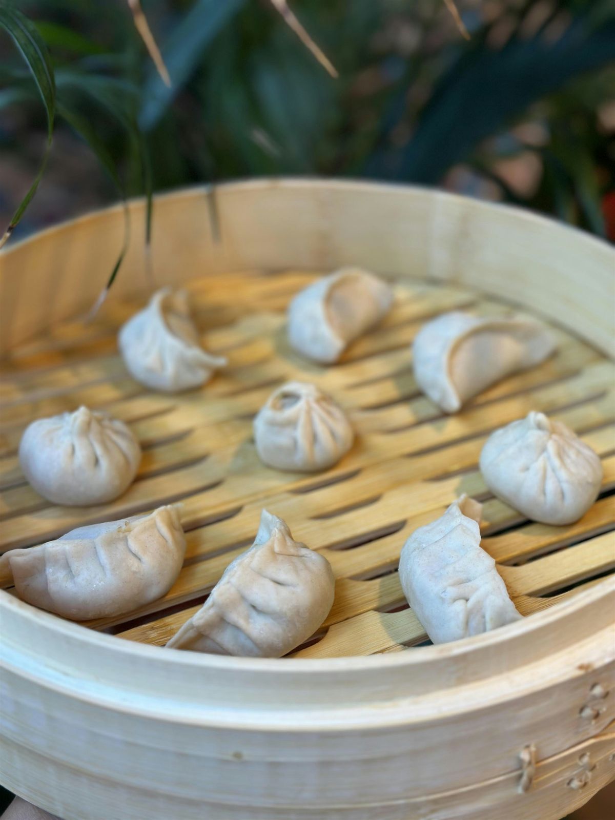 Dumpling Class