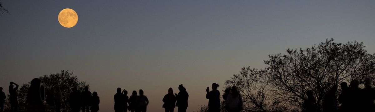 The Silhouttes at McMorran Place Sports and Entertainment Center