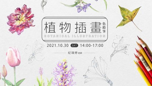 十月課程 植物色鉛筆插畫 紀瑋婷老師 響art Taipei Tp October 30 21