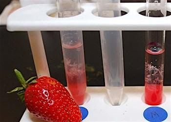 For Ages 5-12: The ACTG's of Fruit