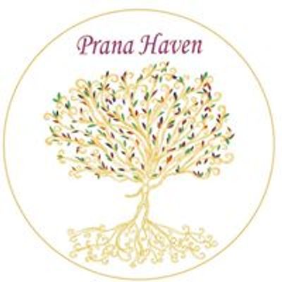 Prana Haven- Energy, Wellness & Gifts for the Soul