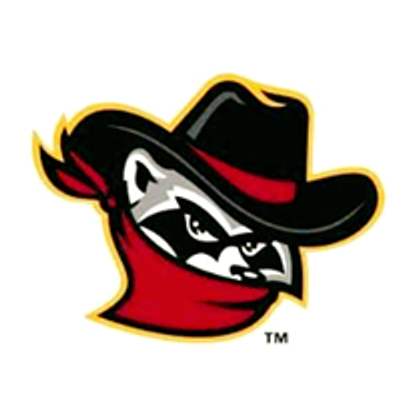 Quad Cities River Bandits