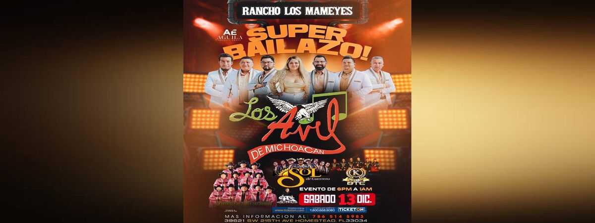 LOS AVIL DE MICHOACAN & MAS