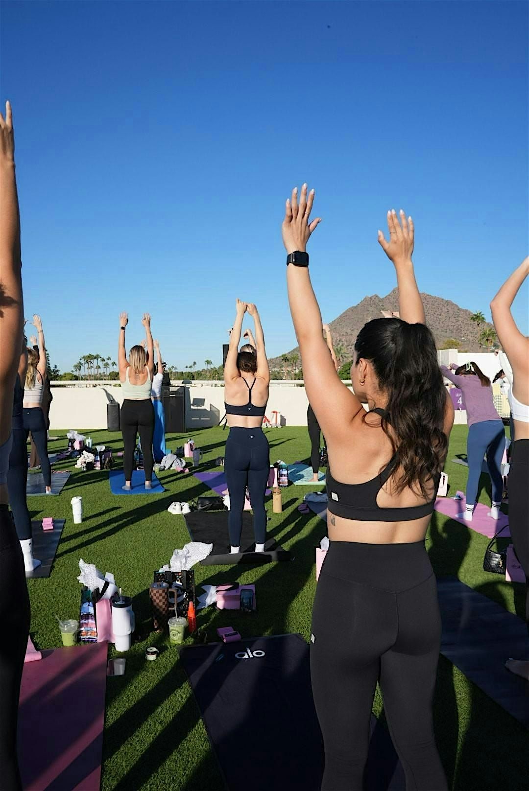 Wellness Reset Series