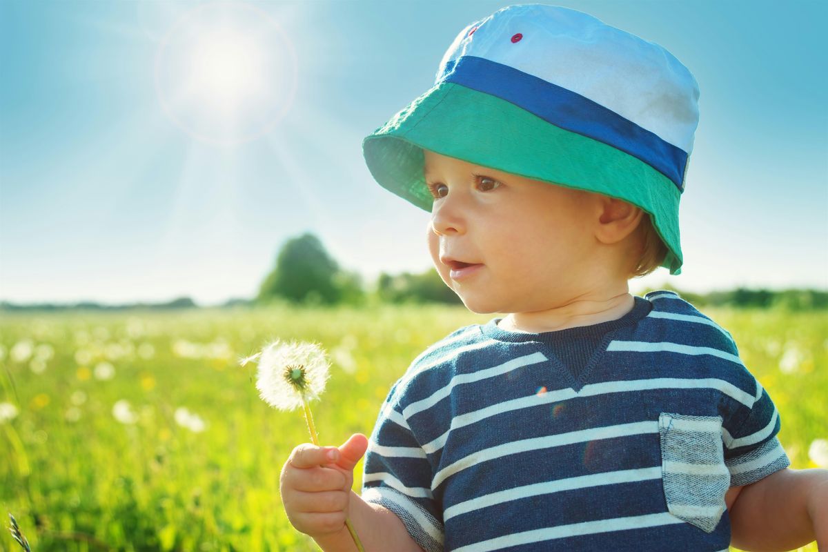 Introduction to the ITERS-3