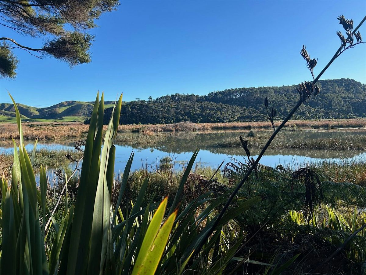 Gold Star Award with an Open Week at Matuku Link