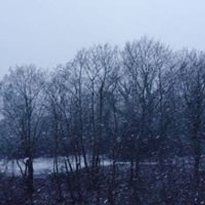 Literaturb\u00fcro Mainz