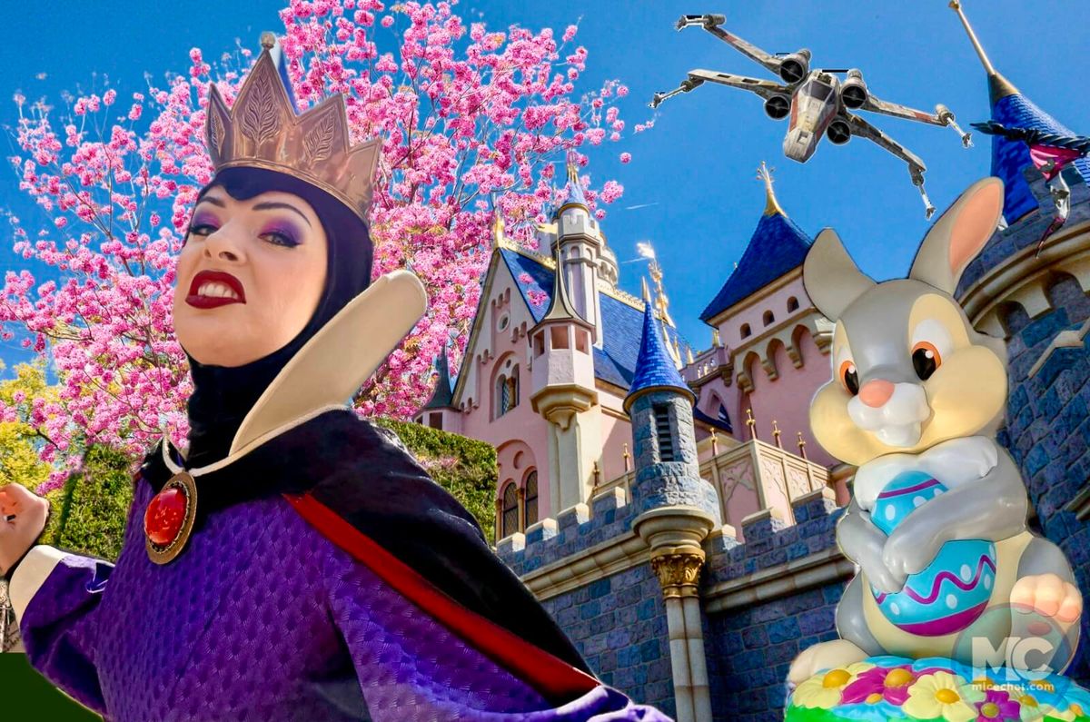 Parking The Queens Cartoonist