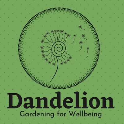Dandelion STH