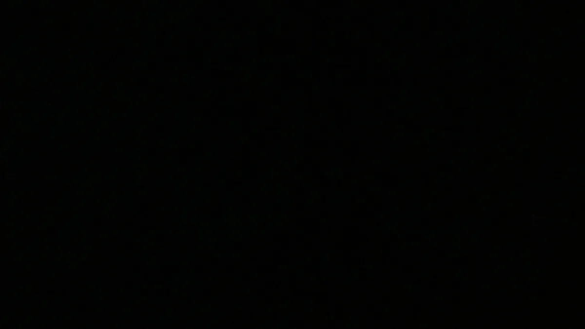 The Chuck Wagon Gang in Mcgaheysville