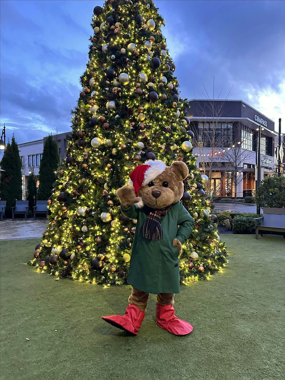 Teddy Bear Tea Party