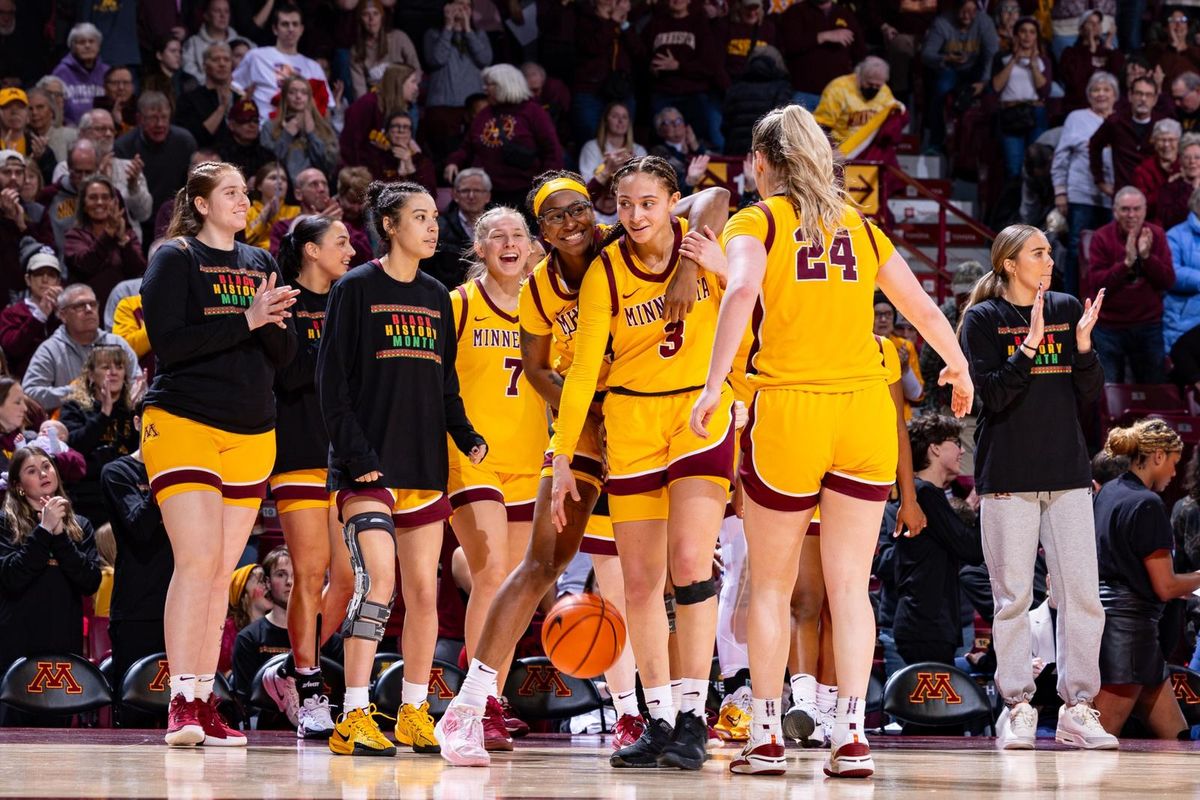 Minnesota Golden Gophers at Iowa Hawkeyes Womens Volleyball