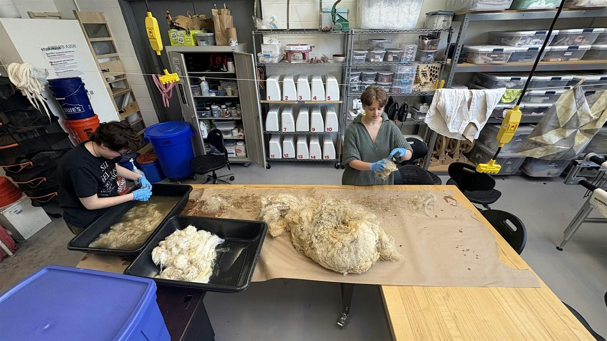 From Fleece to Finished, A Wool Processing Workshop