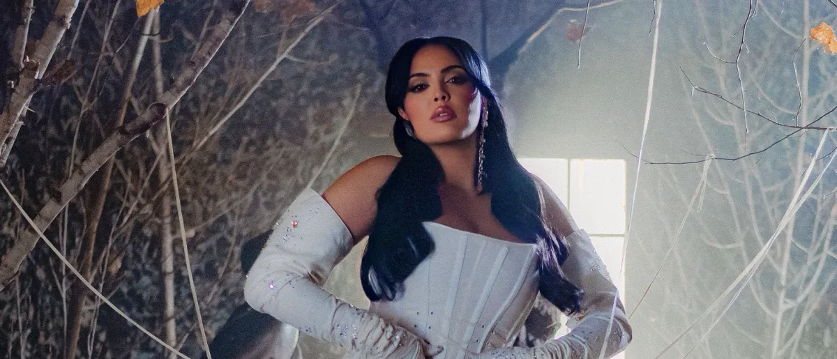 Nej in Cournon D Auvergne