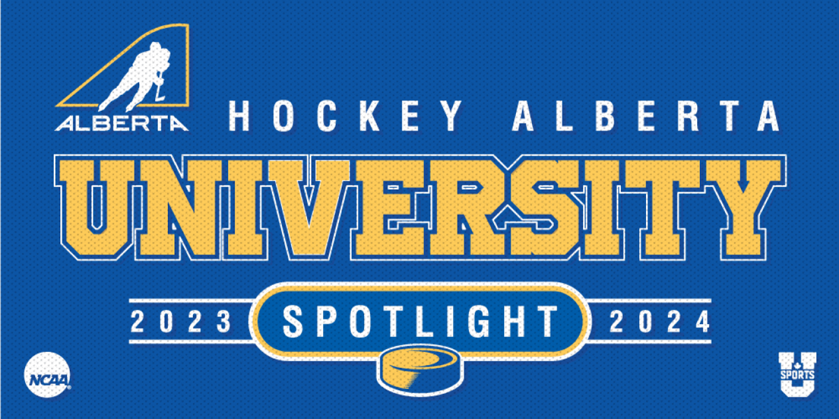 Parking Averett Cougars at High Point Panthers Mens Basketball